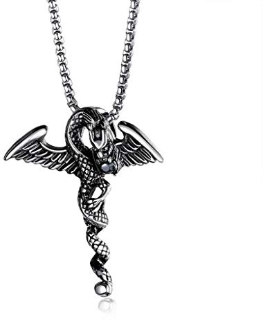 WANGLXTC Mode Titan Stahl Halskette, Herrenhalsketten, Herren Titan Stahl Halskette Edelstahl Tierzubehör Exquisit, Steel Color