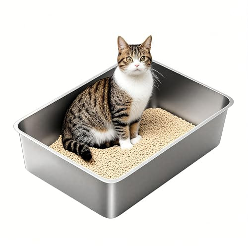 Edelstahl Katzenklo Große, XXL Metall Toilette für Große Katzen, Offenes Klo ohne Deckel, Hop-in Katze, 60 x 40 x 15 cm, Geruchsfrei, Rostfrei, Auslaufsicher