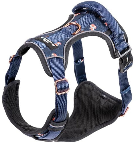 FREUDENTIER Hundegeschirr mit Griff & atmungsaktiver Polsterung - Höchster Komfort, Fester Sitz & maximale Sicherheit - Anti Zug Geschirr - Let's get Foxy Kollektion