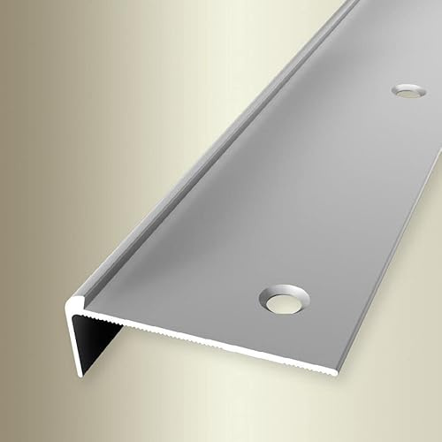PROVISTON | Treppenkantenprofil | Breite: 48 mm | Höhe: 3 mm | Länge: 1000 mm | Aluminium eloxiert | Silber | Versenkt Gebohrt