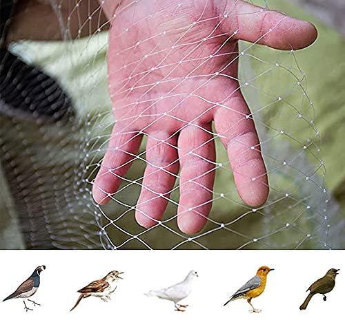 Vogelnetz, Vogelschutznetz Engmaschig Stabil Obstbaumnetz Feinmaschig Pflanzenschutznetz für Gemüse, Garten und Teich, Weiß, Mesh : 2.5cm(Size:3m x 5m)
