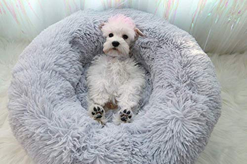 Hundebetten Plüsch Haustierbett Haustier Matte Katzensofa Hunde Kuschelbett Hundesofa Weicher Waschbar Katzenbett,Tierbett Hundebett Katzenbett Schlafplatz Hundesofa Waschbar-Grau-70*70*20CM