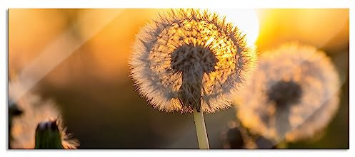 Pixxprint Glasbild Panorama, Wandbild aus Echtglas, Pusteblume, 120x50 cm, inkl. Aufhängung und Abstandshalter