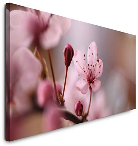 Paul Sinus Art GmbH Blumen in rosa 120x 50cm Panorama Leinwand Bild XXL Format Wandbilder Wohnzimmer Wohnung Deko Kunstdrucke