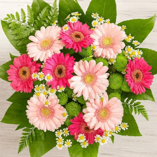 Gerbera Blumenstrauß in Pink und Rosa - Strauß mit 10 Gerbera in Pink und Rosa - Inklusive gratis Grußkarte