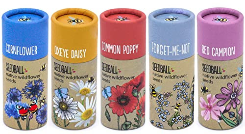 SEEDBALL Wildflower Seed Bombs (Set of 5, 20 Balls Per Tube) | Bee Friendly British Wild Flower Seeds - Poppy, Cornflower, Oxeye Daisy, Red Campion & Forget-Me-Not for Garden Wildlife - Gardening Gift
