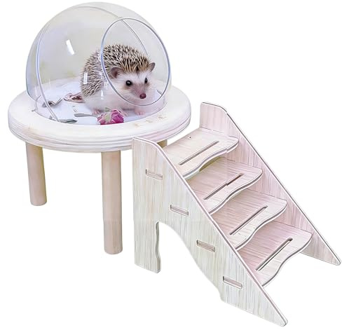 Generisch Bac à sable pour hamster – Toilettes pour rongeurs – Baignoire transparente pour chinchilla avec échelle – Pour l'entretien des gerbilles, hérissons, cage, habitat