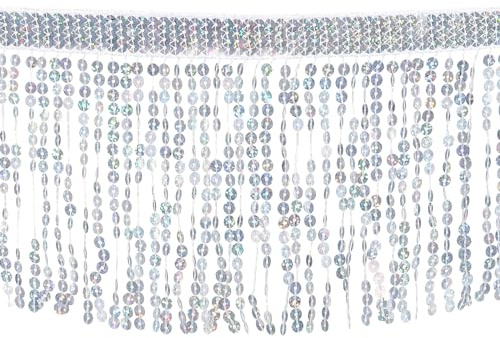 QUARKZMAN 10 Yards Pailletten Fransen Bordüre 6.3 Breit Quaste Fransen Nähen Bordüre Band Polyester für Heimwerker Basteln Nähen Vorhang Kissen Kleid Kleidung Verzierung Silber