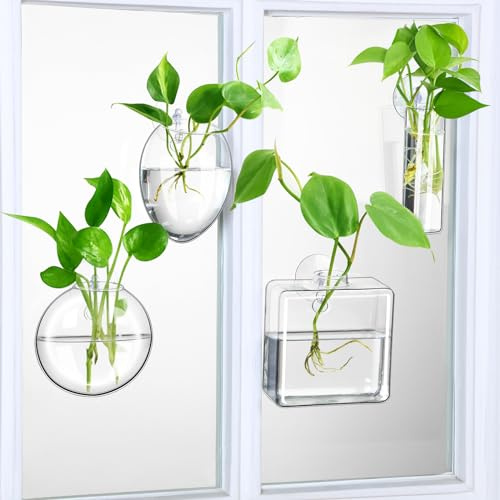Baderke 4 Stück Wand-Fenster-Anzuchtstationen zum Aufhängen, Glas-Terrarium, Behälter, Pflanzgefäß, Pflanzgefäß, oval, quadratisch, Wandvase für Garten, Büro, Dekoration, Pflanzenliebhaber, Geschenk