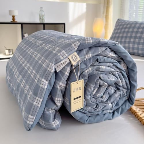2/1 Personnes Couette D'été Édredon Lit Dessus De Lit Coton Couvre Lit Matelassé Doux Et Léger Patchwork Pour Temps Chaud/dormeurs Chauds Douce Et Confortable, Légère Et Respirante ( Color : G , Size