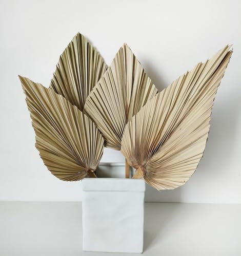Naturliga stora torkade palmblad, 4 delar torkade palmfläktar, 45 cm torkade palmspjut, riktiga växter palmblad, torkad blombukett för boho kontor hem bröllop dekor