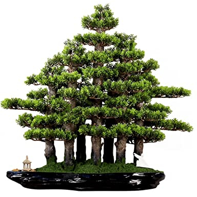 Künstlicher Bonsai Künstlicher Bonsai-Baum, grün, große Dekoration, Simulation, Willkommenskiefer, Bonsai-Baum, Büro, Wohnzimmer, Desktop-Dekoration, künstlicher Topf-Kunstbaum Künstliche Zimmerpflanz