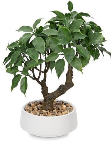 Oairse Artificial Bonsai Tree Small Ficus Bonsai Tree 33cm Indoor Bonsai Tree Fake Potted Plant Decorative Faux Ficus Plant with Ceramic Pot for Home Office Living Room Bathroom Table Shelf Decor