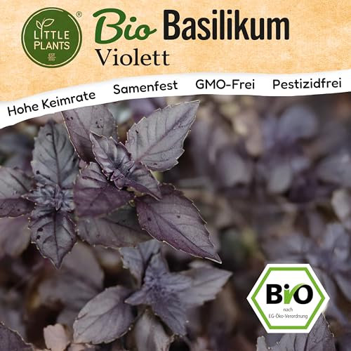 Little Plants BIO Basilikum Violett Samen 500 Basilikumsamen Kräutersamen Samenfest für Kräutergarten Kräuter Samen Küchenkräuter für Küche, Balkon und Garten
