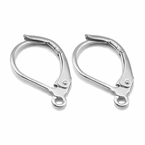 Perlin Edelstahl Ohrhaken 304 Klappbrisuren Ohrverschlüsse Ohrhänger Zubehör 16 mm Silber 20 Stück Schmuckherstellung DIY Basteln