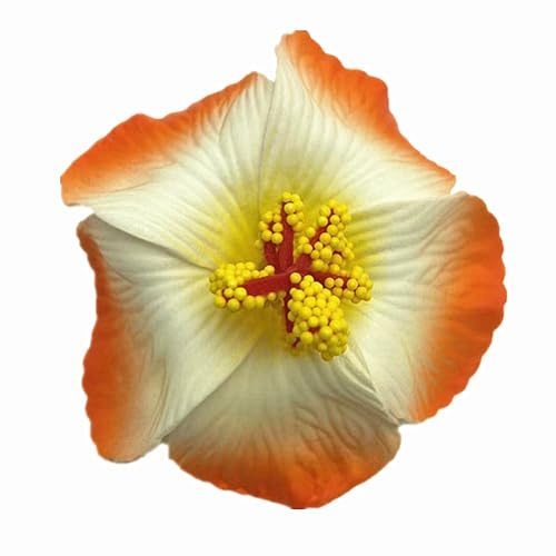forestmistry Lot de 50 têtes de fleurs d'hibiscus hawaïennes artificielles en EVA de 9,5 cm (orange)