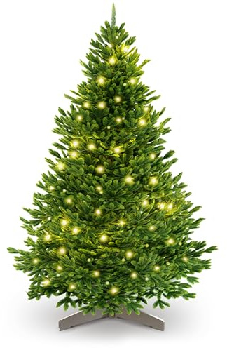ArtiTree Weihnachtsbaum künstlich [100% Spritzguss] - Naturgetreuer Tannenbaum mit Stabiler Spitze | Nordfichte inkl. FSC zertifiziertem Holzständer & reißfester Tasche (mit Beleuchtung, 100 cm)