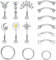 Kakonia 16g Chirurgenstahl Rook Piercing Schmuck Schmetterling Baumeln Cubic Zirkonia Augenbraue Ringe Gebogene Barbells Bauch Lippen Ring Rook Daith Ohrring Knorpel Helix Tragus Ohrringe