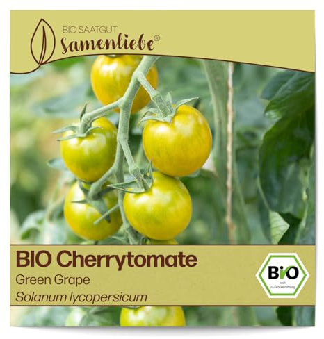 Samenliebe BIO Cherrytomaten Samen alte Sorte Green Grape Cocktailtomate Tomate grün gelb 10 Samen samenfestes Gemüse Saatgut für Gewächshaus Freiland und Balkon BIO Gemüsesamen