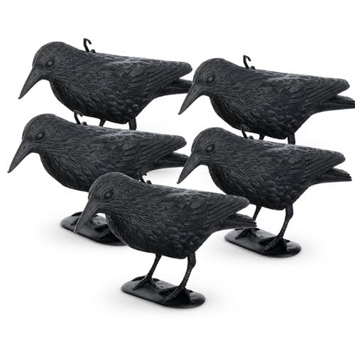 Brandsseller Taubenabwehr Raben-Attrappe aus Kunststoff, Vogelschreck für Balkon, Garten & Terrasse, Schwarz, ca. 36 x 20 cm, witterungsbeständig, zum Stellen, Hängen oder Stecken 5 Stück