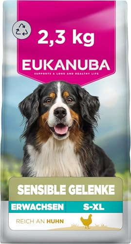 Eukanuba Sensitive Joints hundmat med kyckling – torrfoder Special Care för hundar med känsliga leder, för att stödja rörlighet, 2,3 kg