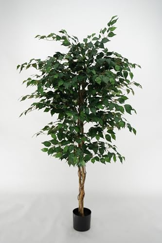 Ficus Benjamin Konstgjord Syntetisk Växt Med Flätade Stamar Och Löv Polyester Siden (Ficus-Benjamin 180 cm)