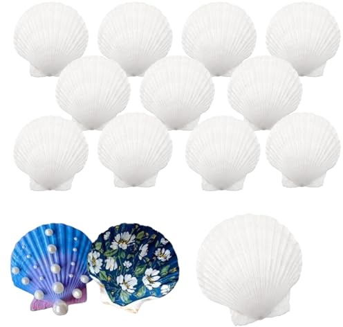IOPJLK Concha de Vieiras Grande, 12 Piezas Blancas Naturales Conchas de mar Decoracion Grandes, 10-12 cm Conchas para Cocina Decoración, Artesanías Bodas decoran, Fiestas temáticas de Playa