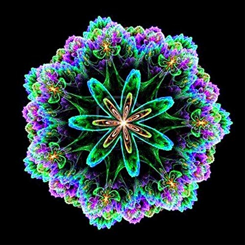 Better Selection 5D DIY Diamant Set besatzarbeiten Schrank Tisch Aufkleber Kristall Strass Diamant Stickerei Gemälde Bilder für Study Room, Flower Painting 30x30 cm Surge Mandala