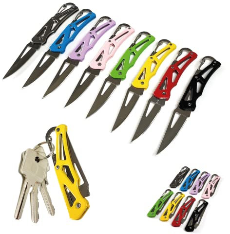 Coltellino Tascabile Piccolo Professionale in Acciaio Inox – Portachiavi Coltello Pieghevole Multiuso con Lama 6 cm Senza Molle o Fermo della Lama – Per la Pesca e Attività all’aperto (Blu)