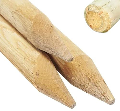 1.2 M Long Wooden Garden Stake for Plant & Tree Support (Pack of 1) Pressure Treated Timber, 5 cm Thickness by Circle of Trust