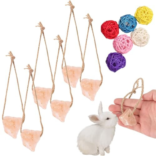 DECUIOCC Premium Salzleckstein & Mineralleckstein – Robust, langlebig und unterhaltsam, optimale Kaninchenzubehör und Pferdebedarf