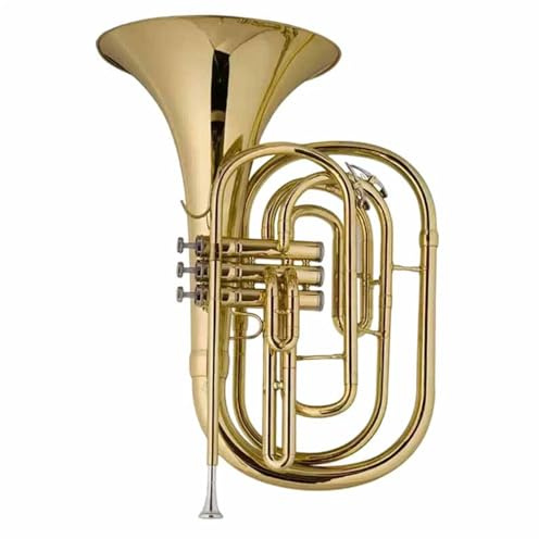 Professionelles Waldhorn Französische Horninstrumentenkapelle Professionelles Marschblech