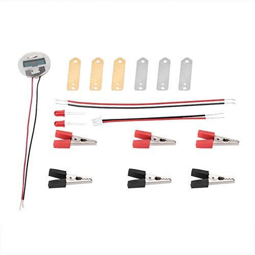 LetCart Kit de Ciencia de Bioenergía, Kit de Experimentos de Ciencia con Batería de Frutas, Experimentos De Electricidad De Papa, Experimentos Electricidad Papa, Kit Juguetes Científicos