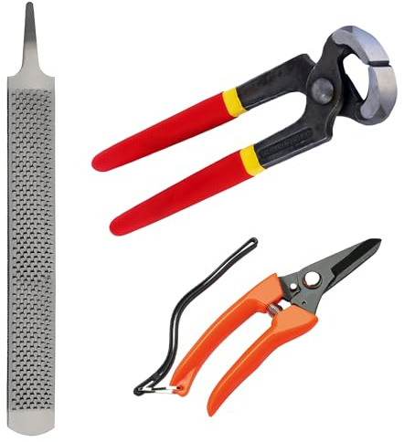 HAICN 3 piezas de herramientas para cortar pezuñas de caballo, kit de herramientas para pezuñas de herrero, mini escofina, tijeras de metal, herreros, pinzas para pezuñas de caballo, cuidado de