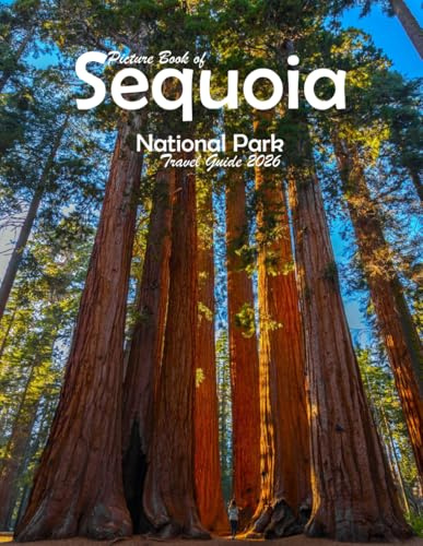 Sequoia National Park: A Visual Journey Through Stunning Landmarks, Travel and Nature lovers.