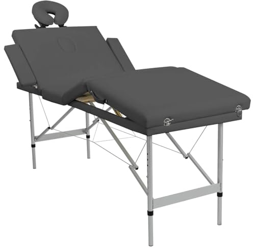 vidaXL Massagetisch mit 4 Zonen Tragetasche Höhenverstellbar Massagebank Massageliege Kosmetikliege Therapieliege Aluminiumrahmen Anthrazit 186x68cm