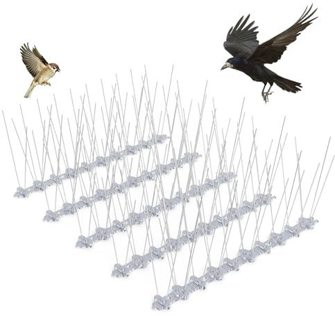 Pinchos Antipalomas de Acero Inoxidable, 5 m, 20 Piezas - con Base Transparente - Resistentes y Anticorrosivas - Anti Gatos y Pájaros - para Vallas, Balcones, Techos, Jardines y Barreras Privadas | Base plástica de alta calidad, anti paloma para guardabarros, techo, aire acondicionado y paredes discretas y duraderas