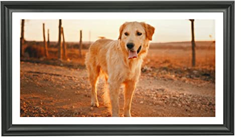 LTYHHK 12x22 Panoramic Picture Frames Solid Wood, Displays Picture10x20 with Mat or 12x22 Inch without Mat, Poster Frame 12x22 Photo Frames Family Wall 10x20 Picture Frame Black (LMKB1222)