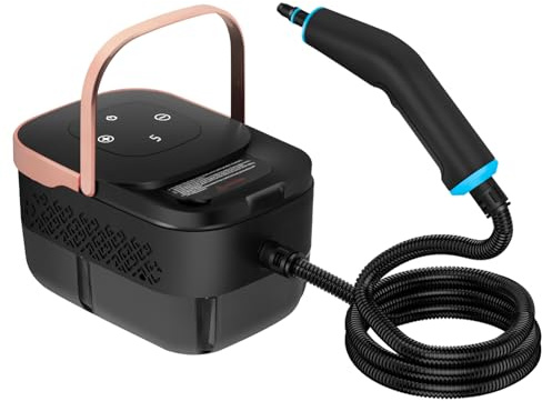 Pulitore a vapore portatile da 2500 W, pulizia a vapore pressurizzato ad alta temperatura, grande capacità, 10 secondi, riscaldamento rapido per dettagli auto, mobili, divani, cimici dei letti, casa