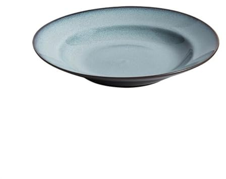 DTACBNEUZ piatto fondo Piatto da portata for uso domestico 10 pollici in ceramica for ristorante di hotel lusso, piatto insalata commerciale(Blue)