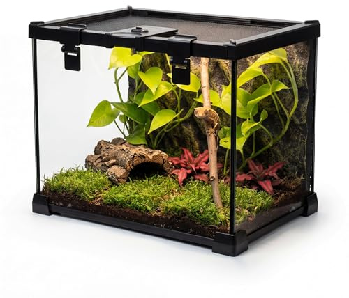 NEPTONION Mini reptilglas terrarium vivarium full vy tank små amfibier glaslivsmiljöbur med matningsplats och lås-spänne (50 cm D x 30 cm B x 35 cm H)