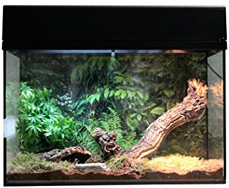 Lucky Reptile Leopardgecko Starter Kit 80 cm - högkvalitativt Gecko Terrarium Komplettset för uppfödning och permanent hållning av geckos - Starter Set Leopard Gecko för nybörjare i svart