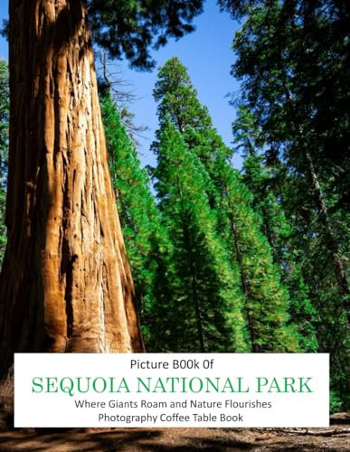 SEQUOIA NATIONAL PARK CALIFORNIA U.S.A: Where Giants Roam and Nature Flourishes