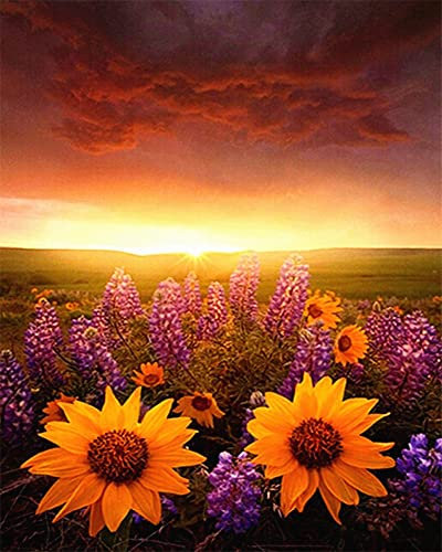 Zdklfm69 Malen nach Zahlen Ölgemälde nach Zahlen Landschaft Erwachsene Sonnenblume Sonnenuntergang auf Leinwand Ölbild Zeichnung Malen nach Zahlen Dekoration Geschenk 40x50cm