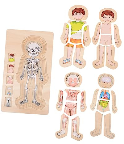 Didiseaon Wooden Body Constitution Puzzle Toy for Kids, Multi-layer Human Body Structure Educational Game, Early Learning Toy for Boys and Girls
