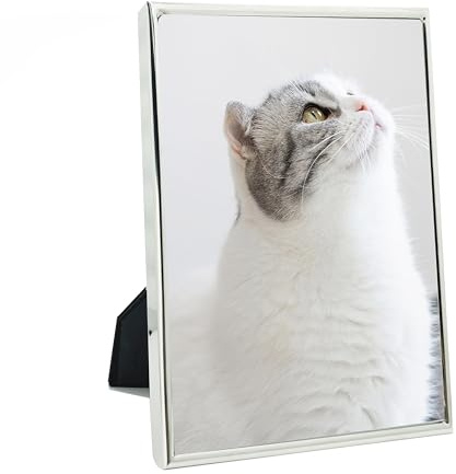 DECANIT 4X6 Metal Picture Frame, Thin Profile Silver Photo Frame