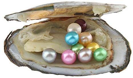 Magnitt 10Pcs Mixed Colors AA Grade Cultured Freshwater Nearly Round Pearls 7-8mm for Jewelry Making or Birthday Gifts