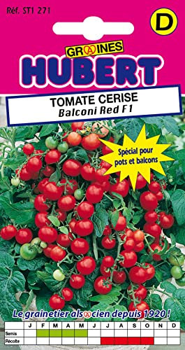 20 Graines de Tomate Cerise Balconi Red F1