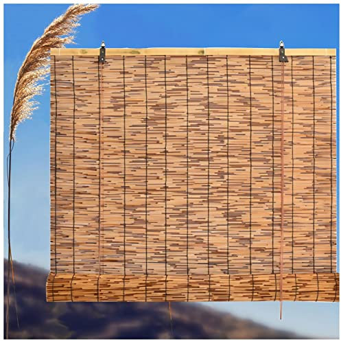 Carbonization Schilf Vorhang,Schilfrohrmatte als Sichtschutzmatte Natur aus Schilf,Lichtfilter Vorhang,Sonnenschutz/Atmungsaktiver,Schilfmatte für Balkon oder Blickschutz (W50xH80cm/19.7x31.5in)