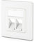 deleyCON 1x 2 Port LAN Anschlussdose Datendose Unterputzdose für Keystone Module 45° Gewinkelter Auslass für Keystone Module mit z.B. RJ45 Koaxial F-Stecker RJ-11 Cinch Klinke Toslink PS2